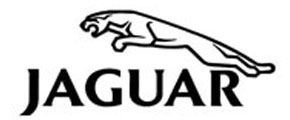 Client Logo 3